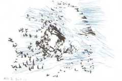 because-of-the-birds_small
