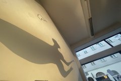 IMG_0141